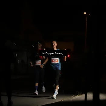 Runner Photo 4331463