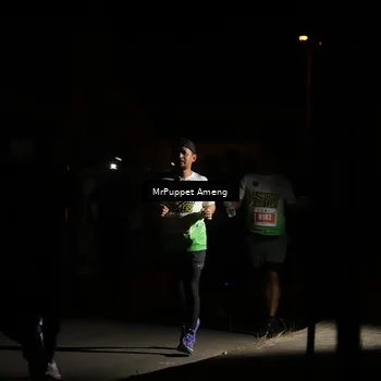 Runner Photo 4331466
