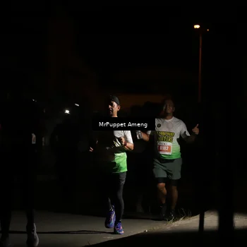 Runner Photo 4331470