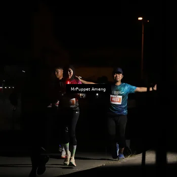 Runner Photo 4331473