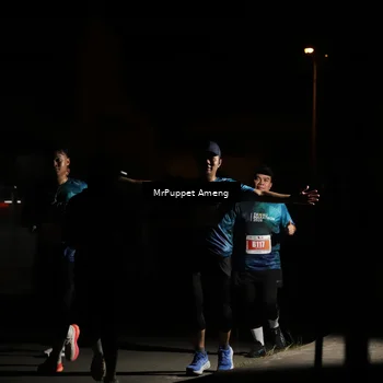 Runner Photo 4331474