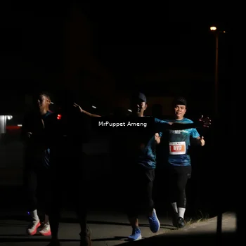 Runner Photo 4331478