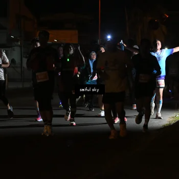 Runner Photo 4331479