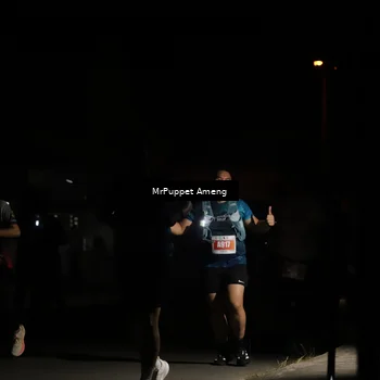 Runner Photo 4331480