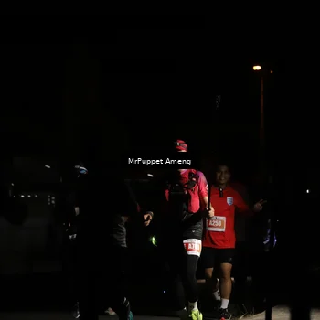 Runner Photo 4331485