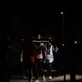 Runner Photo 4331487