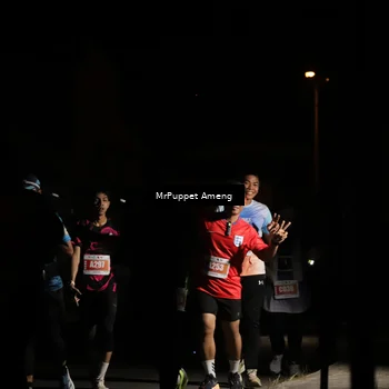 Runner Photo 4331488