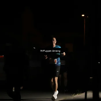 Runner Photo 4331490