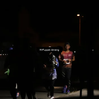 Runner Photo 4331492