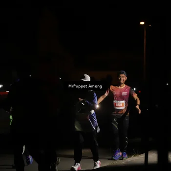 Runner Photo 4331497
