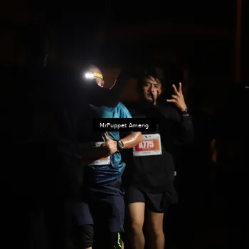 Runner Photo 4331508