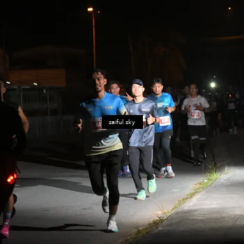 Runner Photo 4331512