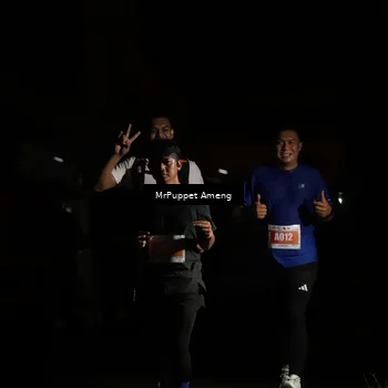 Runner Photo 4331522