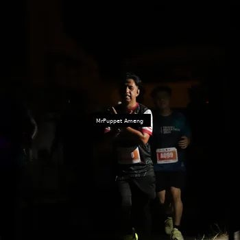 Runner Photo 4331532