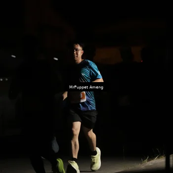 Runner Photo 4331533