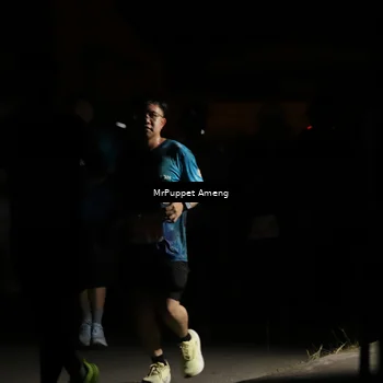 Runner Photo 4331535