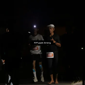 Runner Photo 4331536