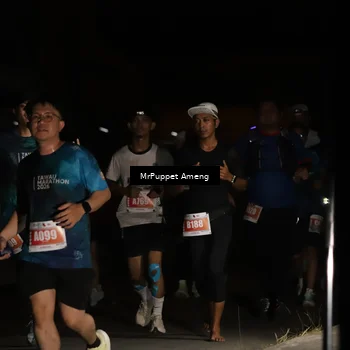 Runner Photo 4331537