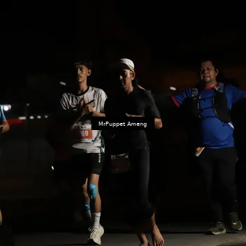 Runner Photo 4331538