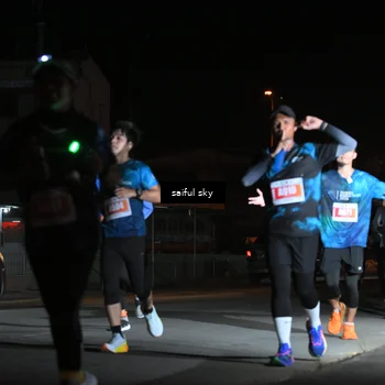 Runner Photo 4331541