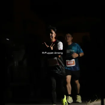 Runner Photo 4331543