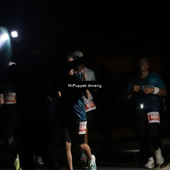 Runner Photo 4331544