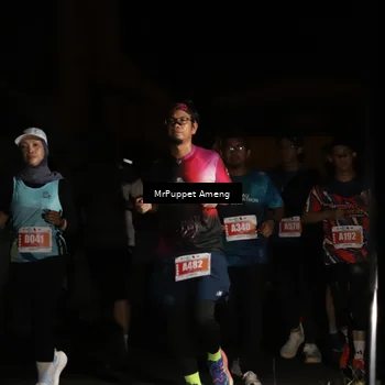 Runner Photo 4331553