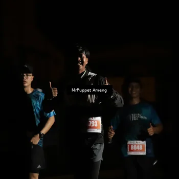 Runner Photo 4331569