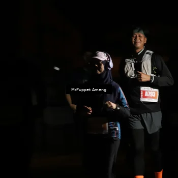 Runner Photo 4331571