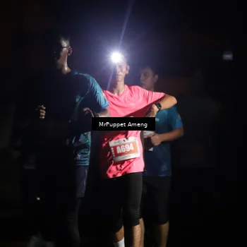 Runner Photo 4331573