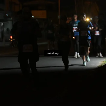 Runner Photo 4331578