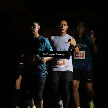 Runner Photo 4331580