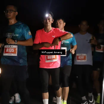 Runner Photo 4331582