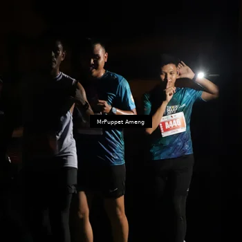 Runner Photo 4331585