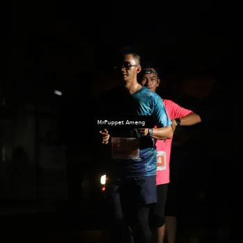 Runner Photo 4331586