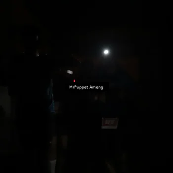 Runner Photo 4331588