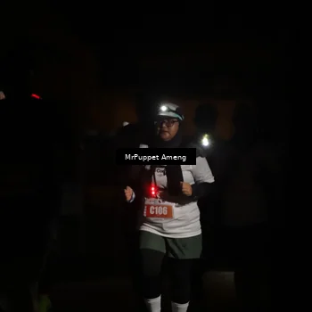 Runner Photo 4331595