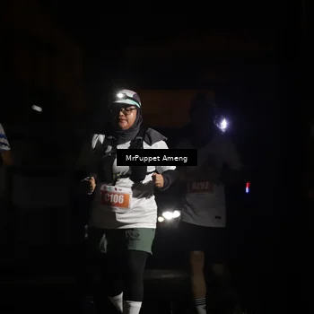 Runner Photo 4331596