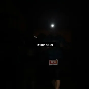 Runner Photo 4331598