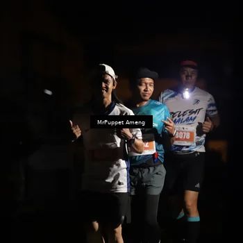 Runner Photo 4331603