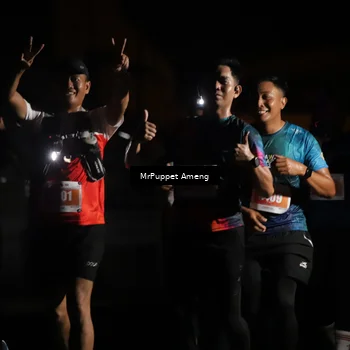 Runner Photo 4331619