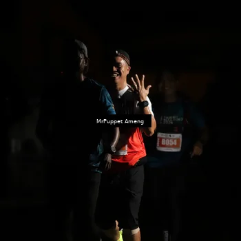 Runner Photo 4331623