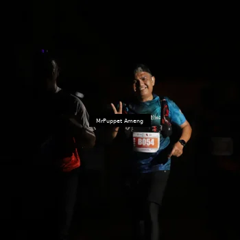 Runner Photo 4331625