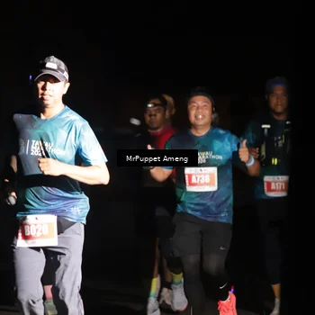 Runner Photo 4331642