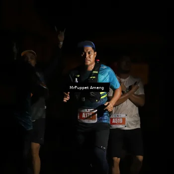 Runner Photo 4331645