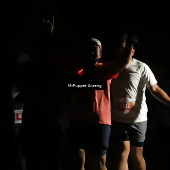 Runner Photo 4331659