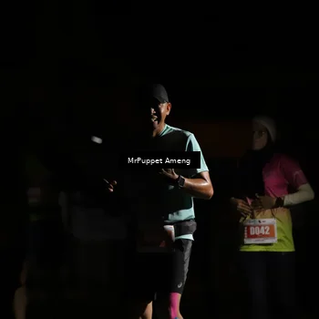 Runner Photo 4331666