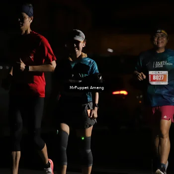 Runner Photo 4331675