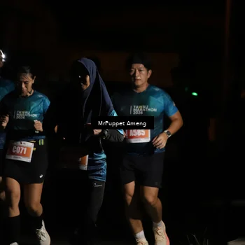 Runner Photo 4331690