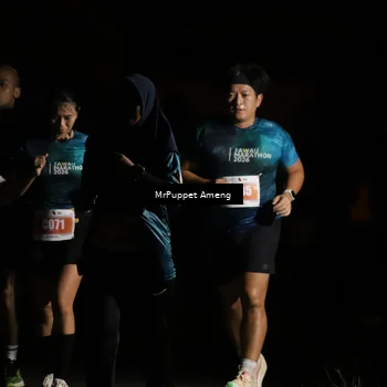 Runner Photo 4331692